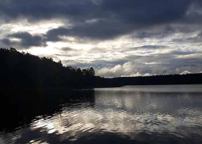 Olesiowka